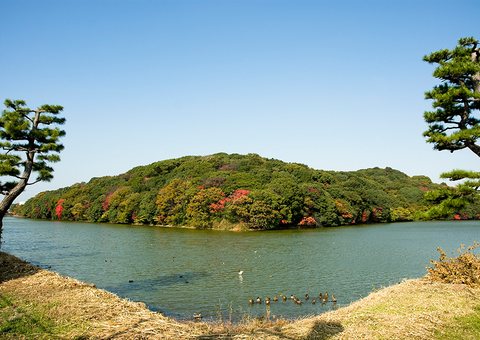 紅葉に色づく堺市の古墳と濠